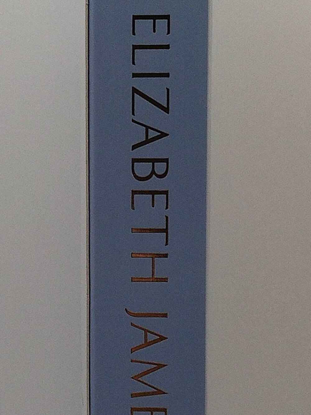 Elizabeth James Silicone MagSafe Case — iPhone 15/14/13 — Taupe — NEW - Picture 6 of 13